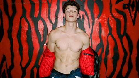 shawn mendez naked|Shawn Mendes Jerking off